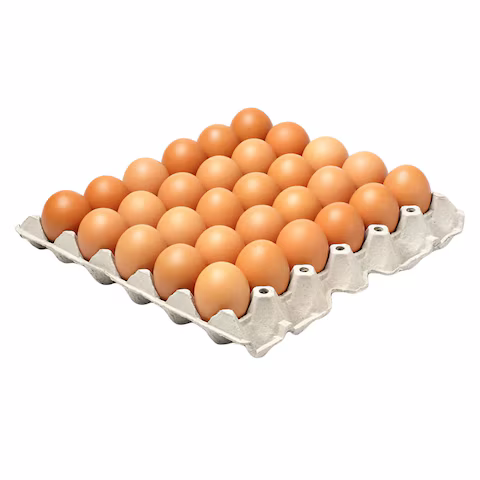 Tray of Eggs (Broiler)